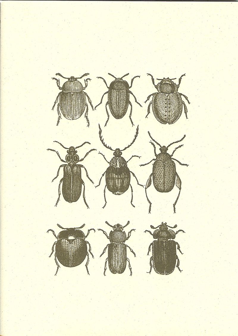 nbs02a