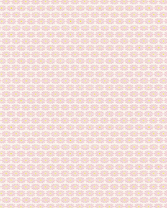 Geschenkpapier von Tassotti 70x100