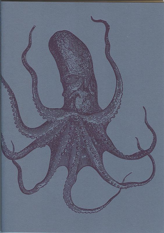 rossihefttintenfisch