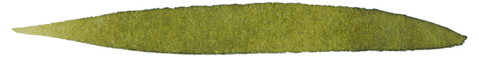 141015_inkbottleolivegreen75ml_highres_36434(1)