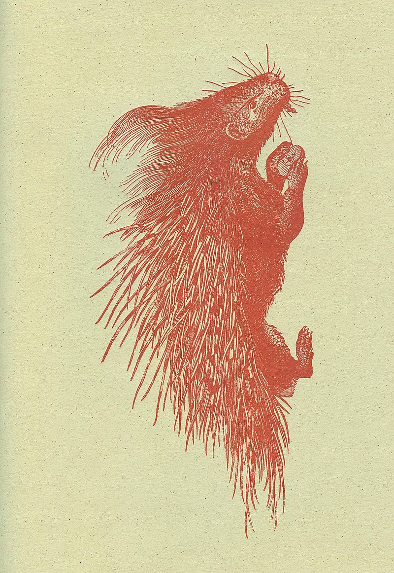 nbs09a